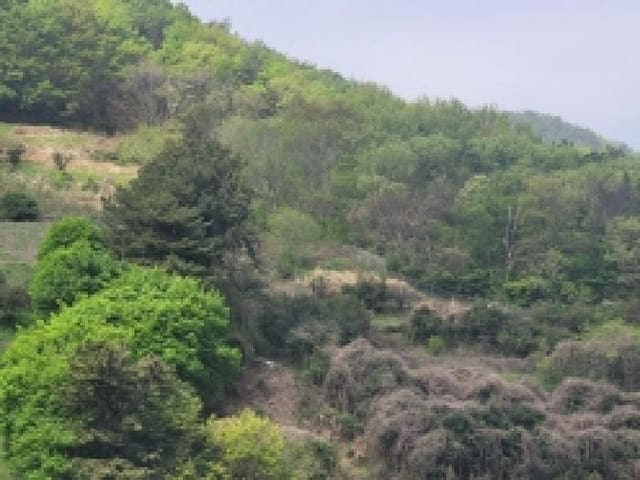 B000422202501300210223.jpg