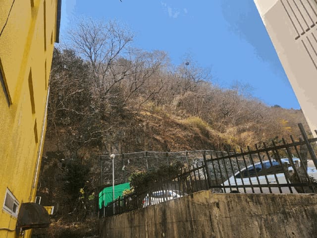 B000422202501300210662.jpg