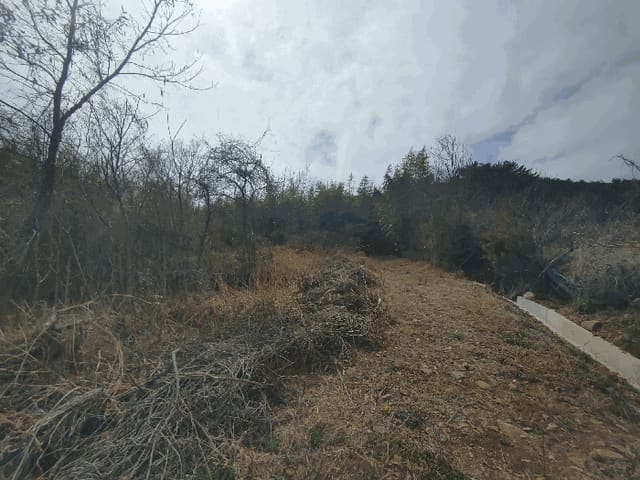 B000422202501300211303.jpg