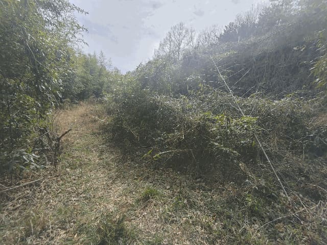 B000422202501300211302.jpg