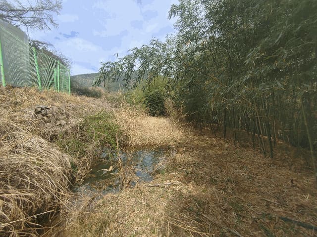 B000422202501300211304.jpg