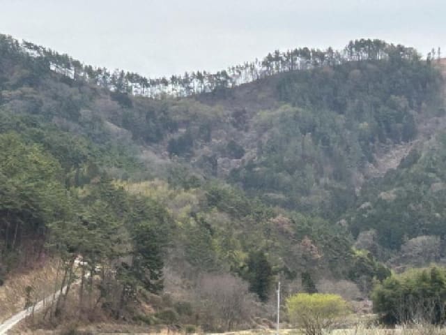 B000422202501300211331.jpg