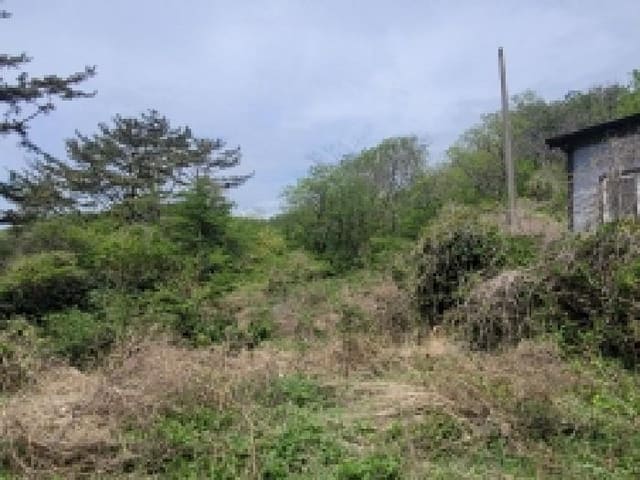 B000422202501300211624.jpg