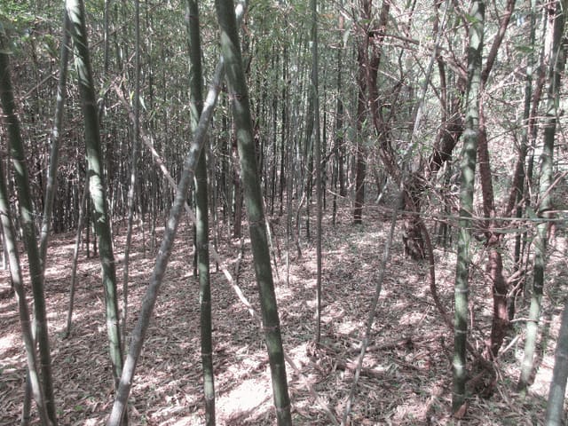 B000422202501300211674.jpg