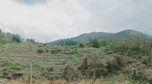 B000422202501300212161.jpg