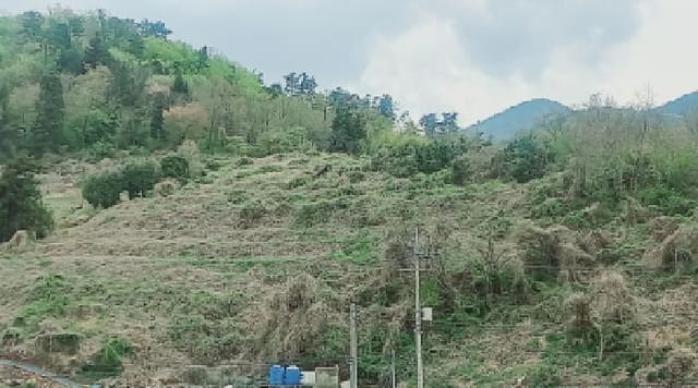 B000422202501300212162.jpg