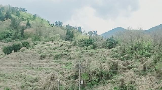 B000422202501300212163.jpg