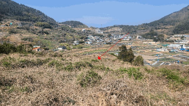 B000422202501300212164.jpg