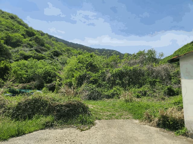 B000422202501300212224.jpg