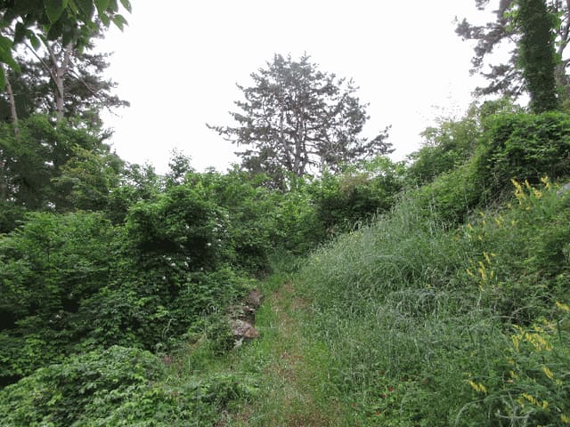 B000422202501300212554.jpg