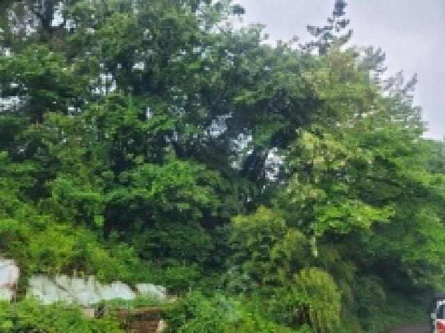 B000422202501300212552.jpg