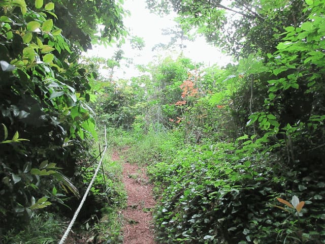 B000422202501300212553.jpg