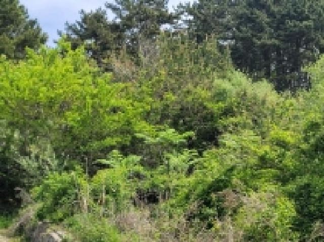 B000422202501300212874.jpg
