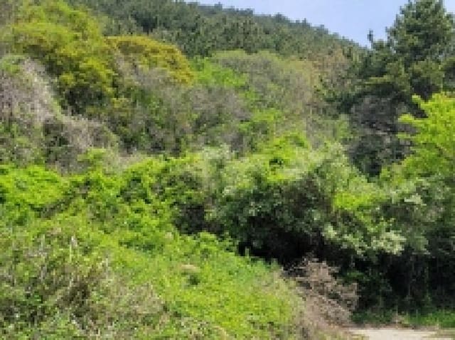 B000422202501300212873.jpg