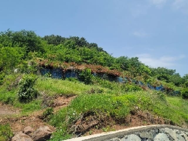 B000422202501300212961.jpg
