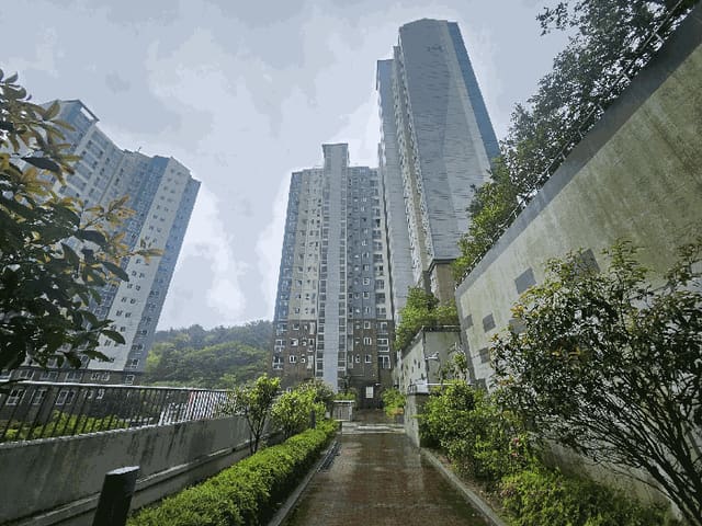 B000422202501300213304.jpg