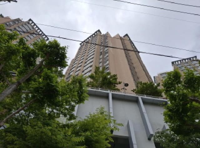 B000422202501300213674.jpg