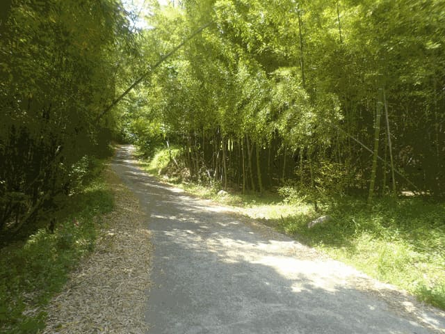 B000422202501300214294.jpg