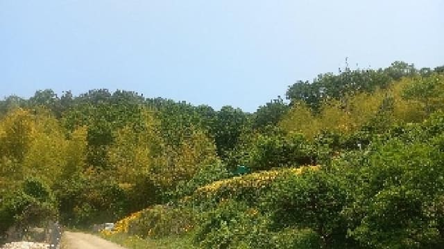 B000422202501300214292.jpg