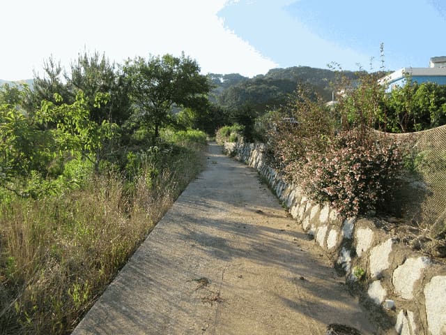 B000422202501300214302.jpg