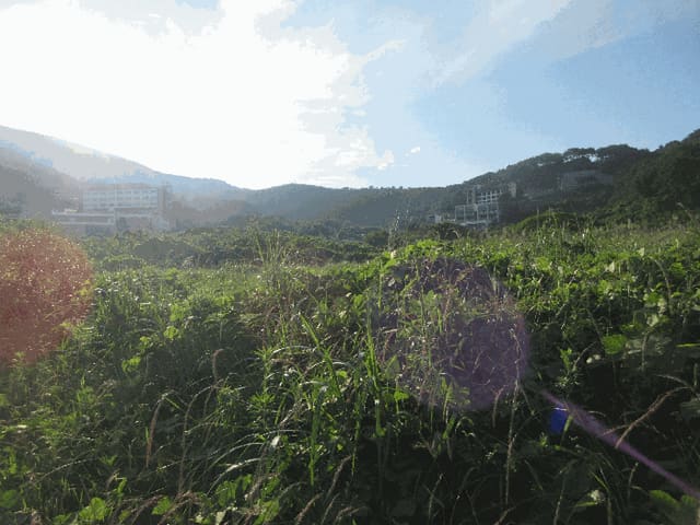 B000422202501300214304.jpg