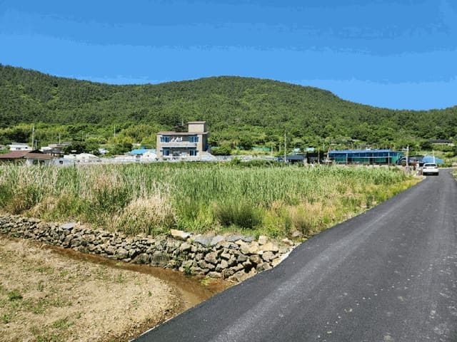 B000422202501300214424.jpg