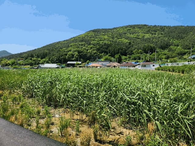 B000422202501300214422.jpg