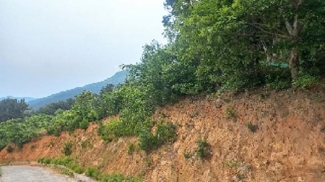 B000422202501300214462.jpg