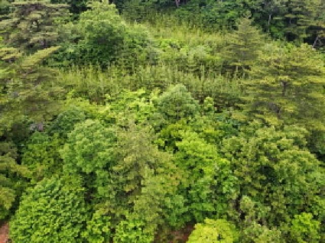 B000422202501300214464.jpg