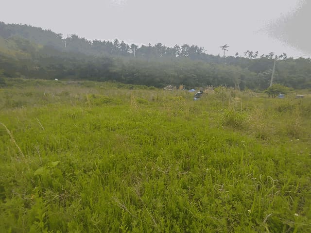 B000422202501300214564.jpg