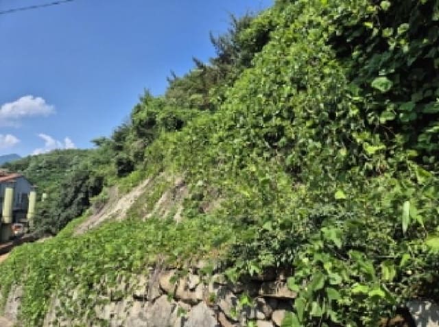B000422202501300214752.jpg