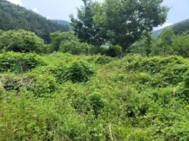B000422202501300214791.jpg
