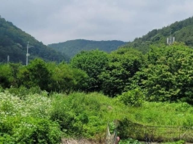 B000422202501300214794.jpg