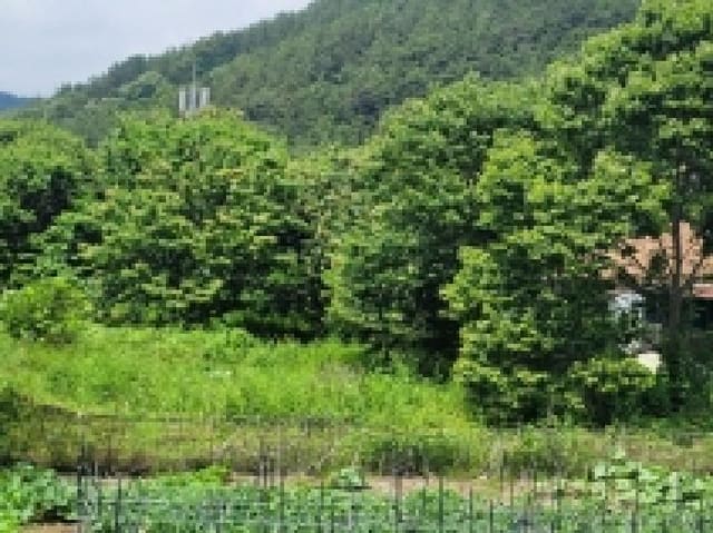 B000422202501300214793.jpg