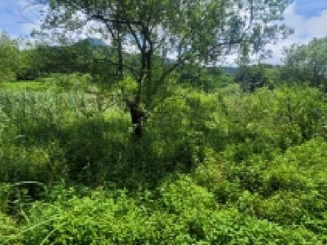 B000422202501300214851.jpg