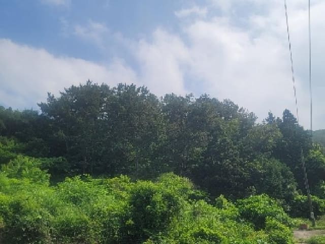 B000422202501300214913.jpg