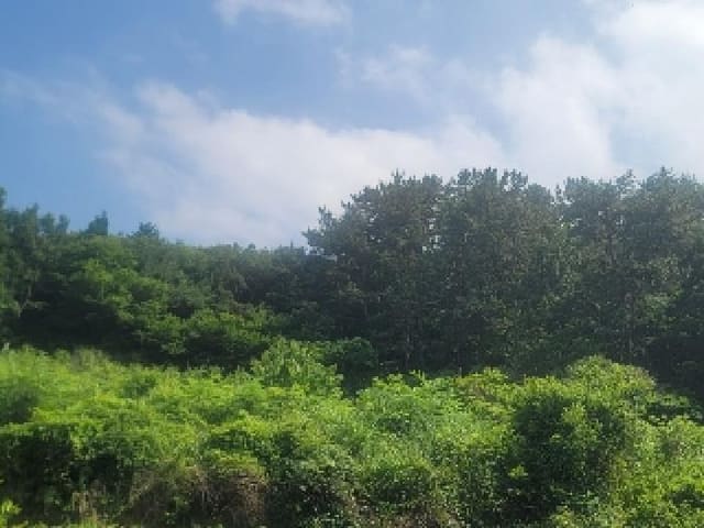B000422202501300214912.jpg