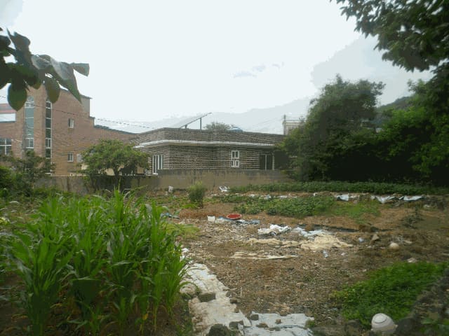 B000422202501300215124.jpg