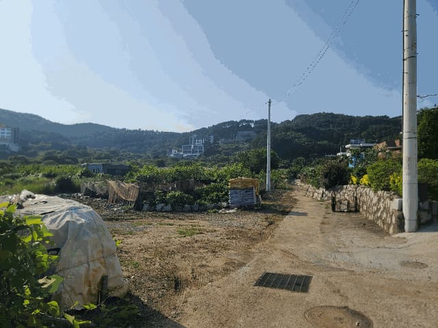 B000422202501300215134.jpg