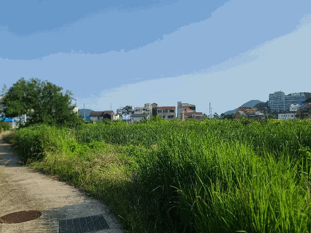 B000422202501300215133.jpg