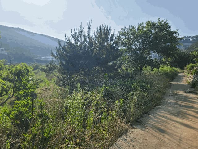 B000422202501300215132.jpg