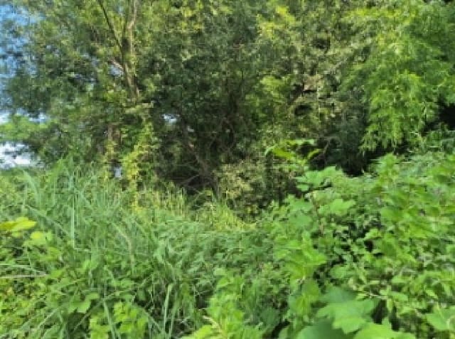 B000422202501300215192.jpg