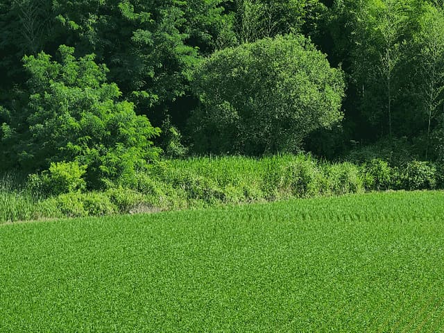 B000422202501300215194.jpg