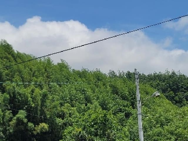 B000422202501300215283.jpg