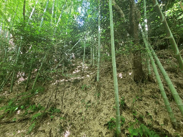 B000422202501300215512.jpg