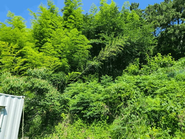 B000422202501300215514.jpg