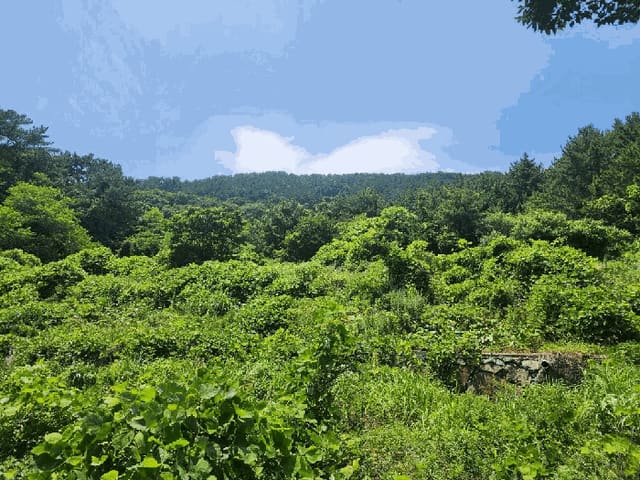 B000422202501300215554.jpg