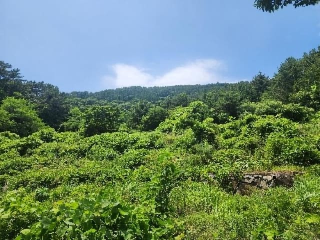 B000422202501300215551.jpg