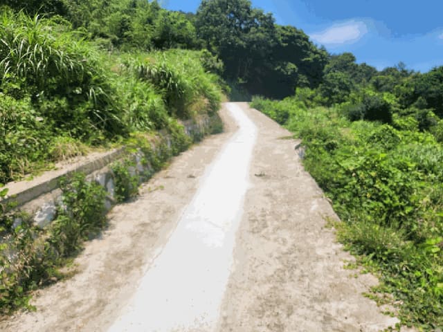 B000422202501300215553.jpg