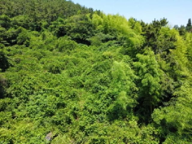 B000422202501300215601.jpg